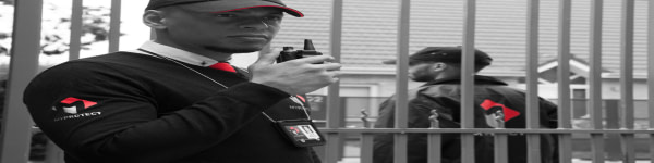 banner picture