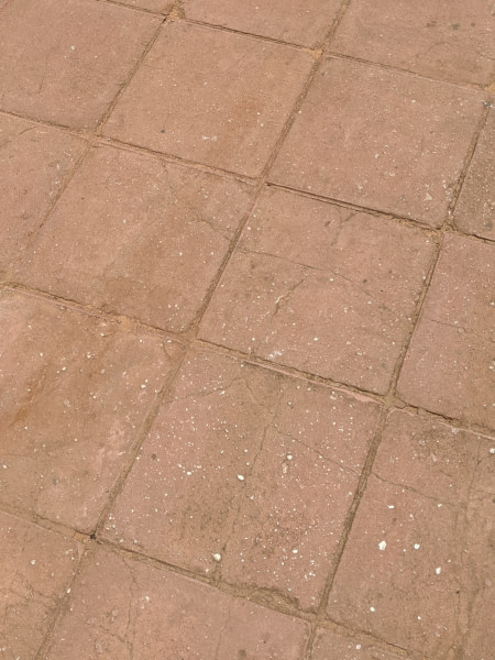 banner picture