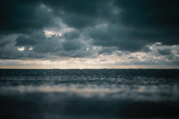 banner picture