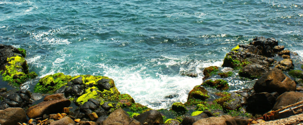 banner picture