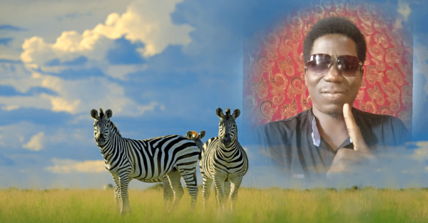 banner picture
