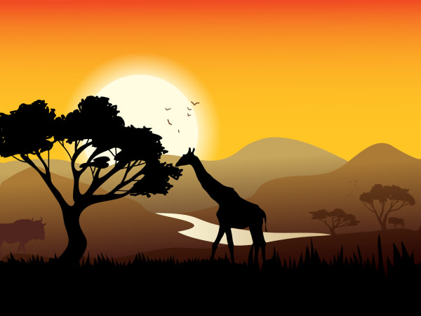 banner picture