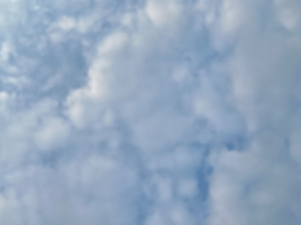 banner picture
