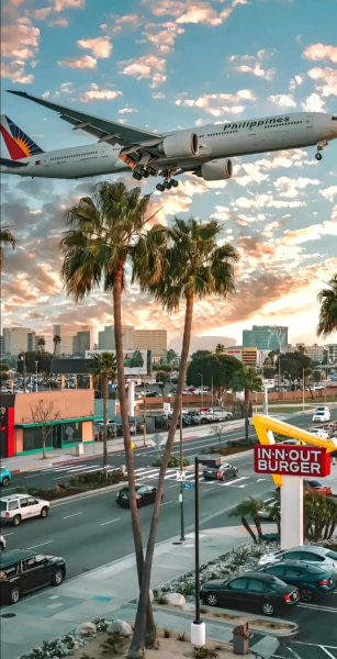 banner picture