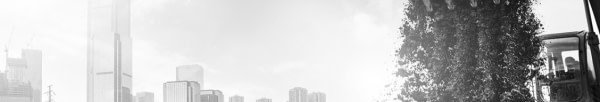 banner picture