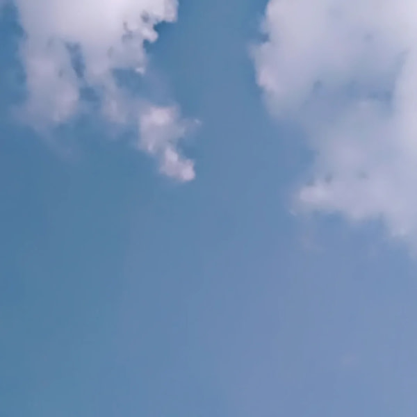 banner picture