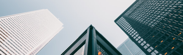 banner picture