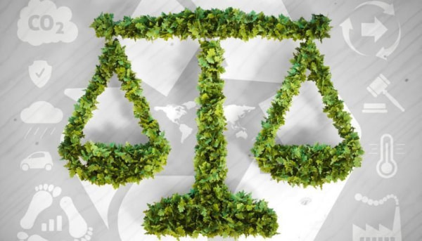 banner picture