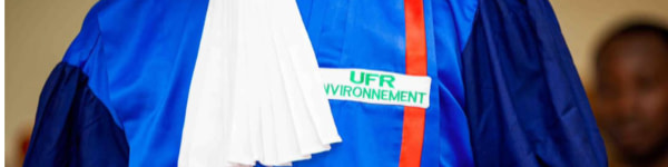 banner picture