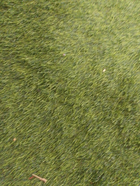 banner picture