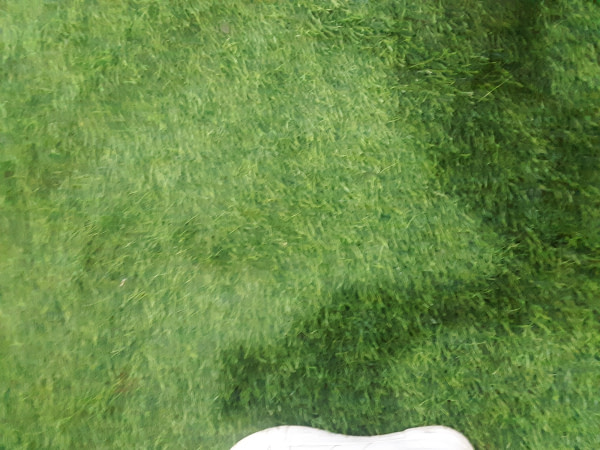 banner picture