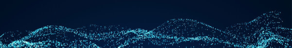 banner picture