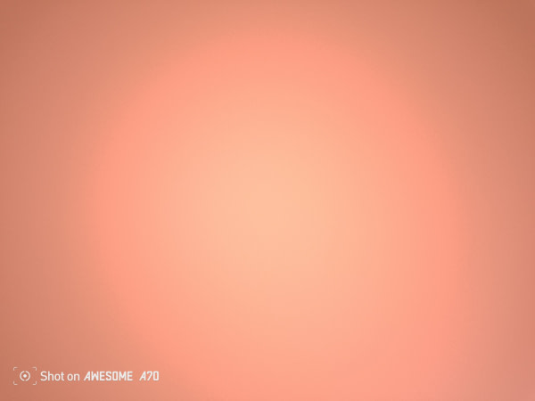 banner picture