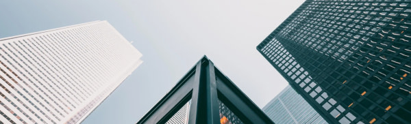 banner picture