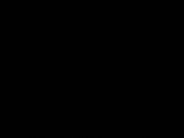 banner picture