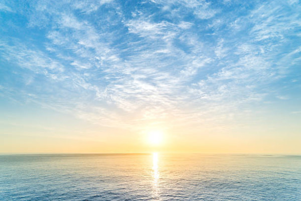 banner picture