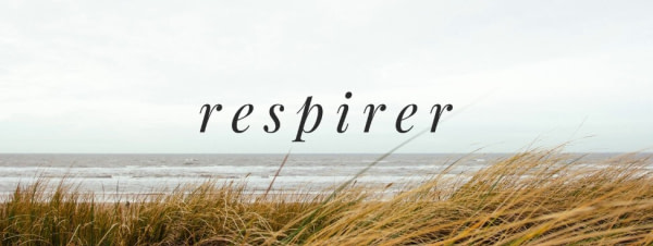 banner picture