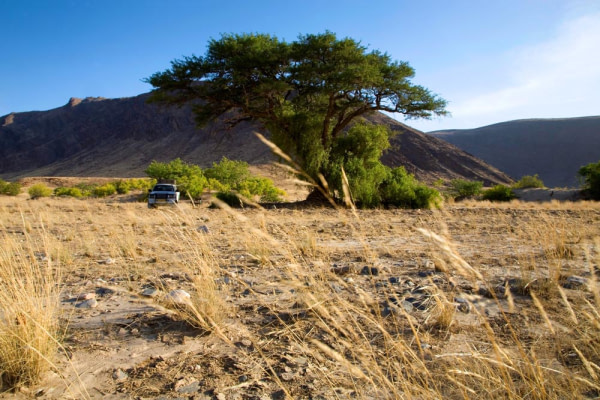 Désert de Namibie