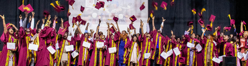 banner picture