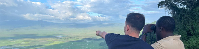 banner picture