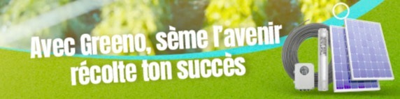 banner picture