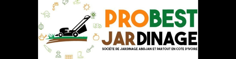 banner picture