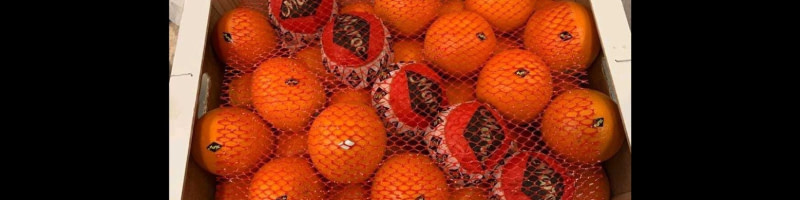 banner picture