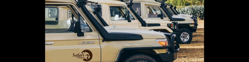 banner picture
