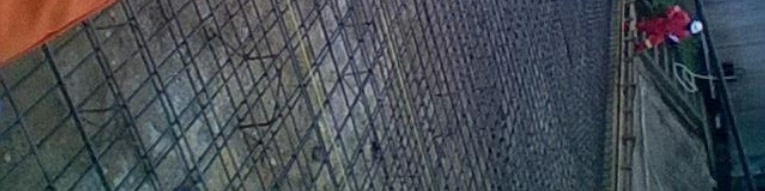 banner picture