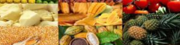 banner picture