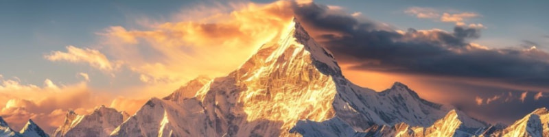 banner picture