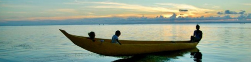 banner picture