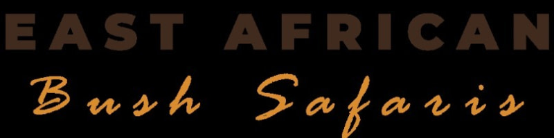 banner picture