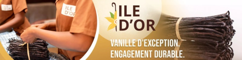 banner picture