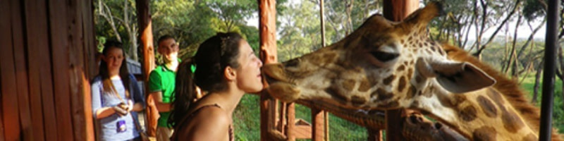 banner picture