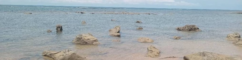 banner picture