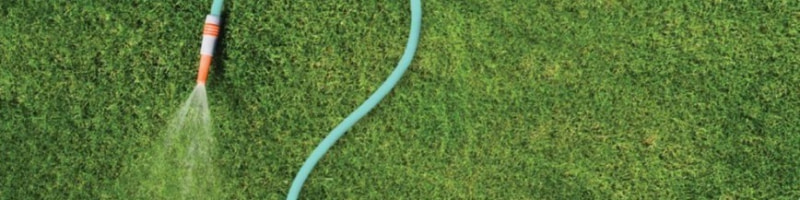 banner picture