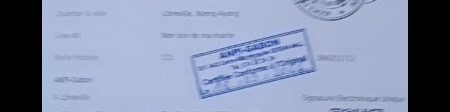 banner picture