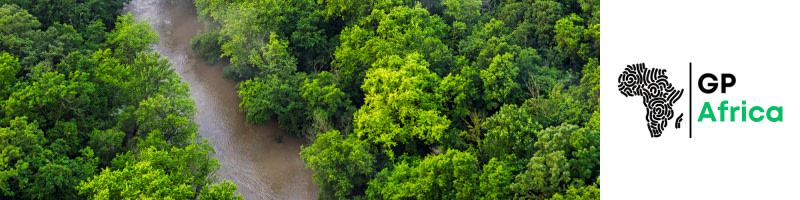 banner picture