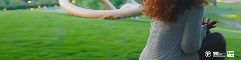banner picture