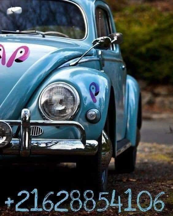 banner picture