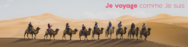 banner picture