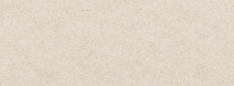 banner picture