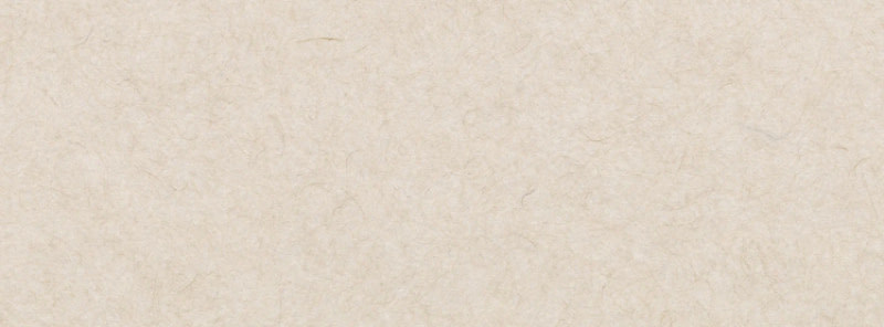 banner picture