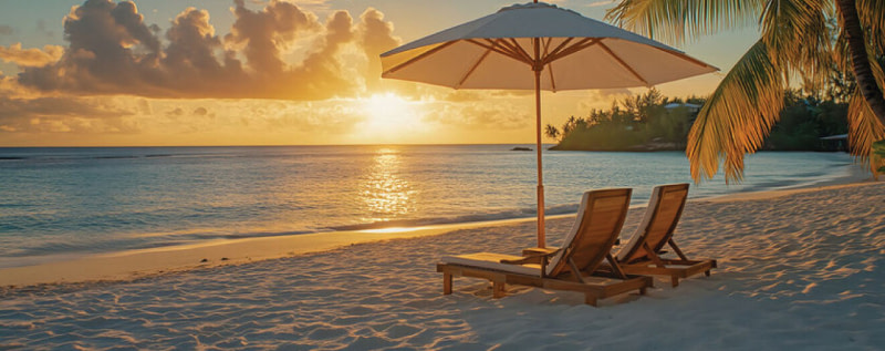 banner picture