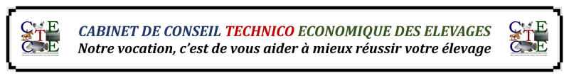 banner picture