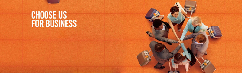 banner picture