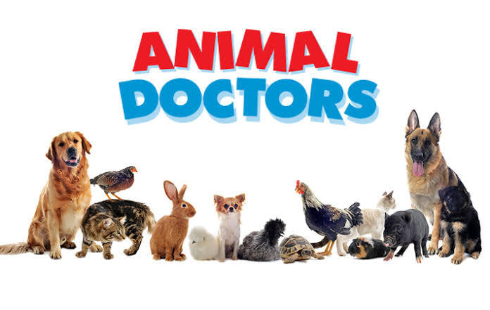 banner picture