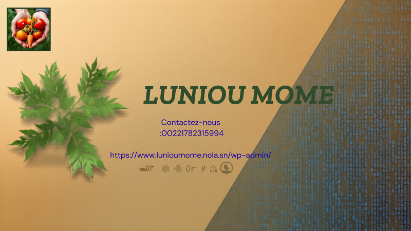 banner picture