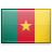 Drapeau Cameroun